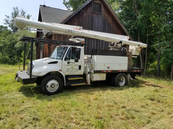 Bizee Bee Tree Service