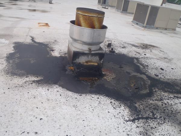 Certified Hood & Fire Specialist