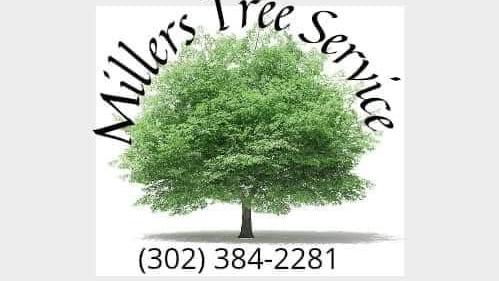 Miller's Tree Service & Firewood Delivery