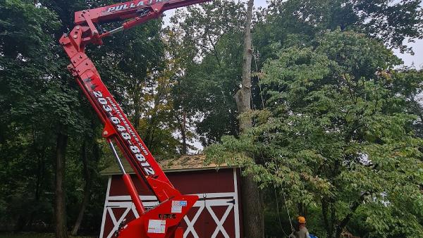 Pulla Tree Services