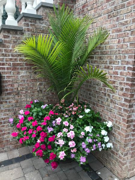 Alamo Landscaping Inc.