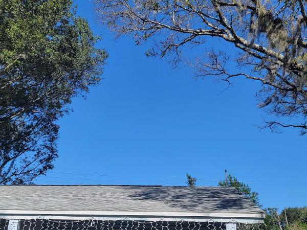True Pro Roofing LLC