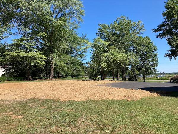 Heavenly Landscape and Tree Service