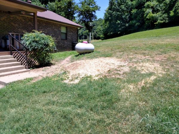 Heavenly Landscape and Tree Service