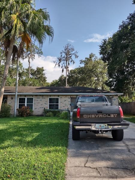 Pocket Friendly Tree Service