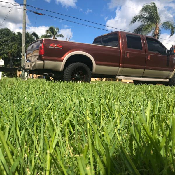 Five Star Lawn Care & Landscaping