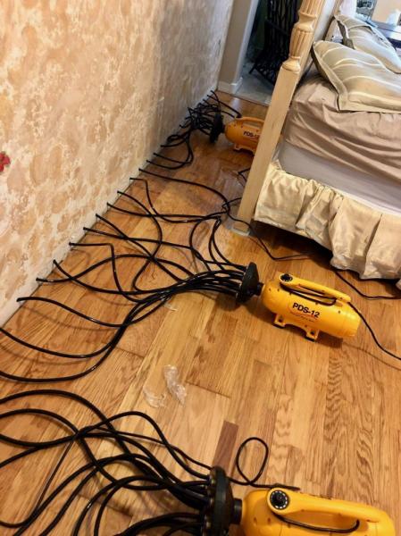 Spotless Water Damage Solutions