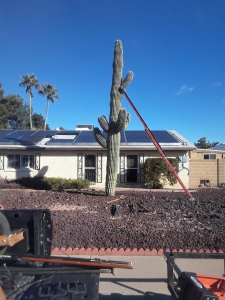 AZ Cactus Experts