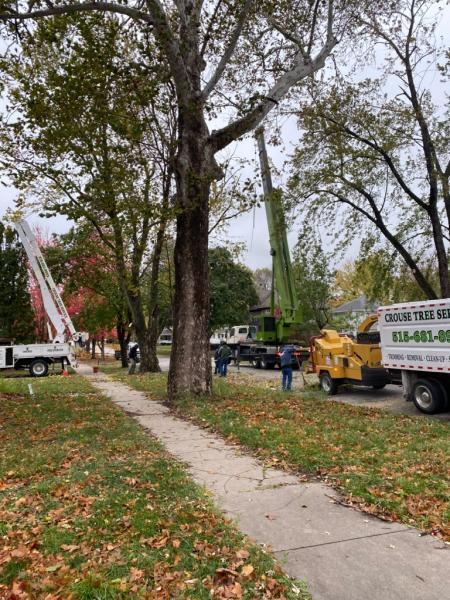 Crouse Tree Service