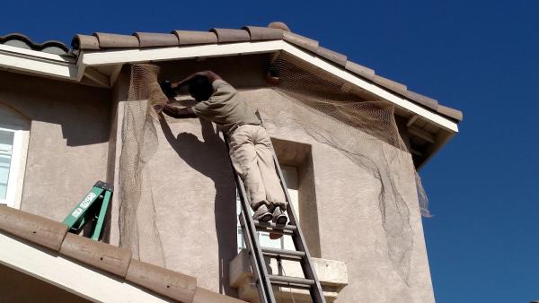 Wildlife Removal Services