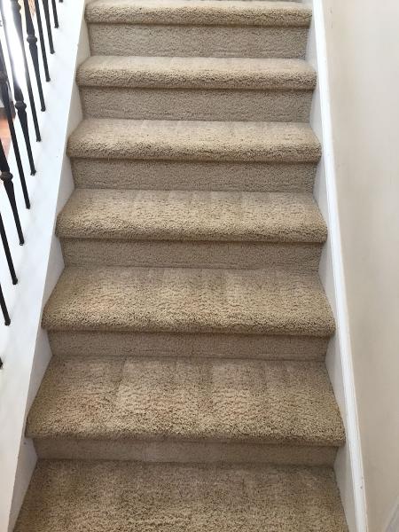 Michael's Carpet Cleaning