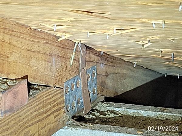 Dwell Spec Home Inspections