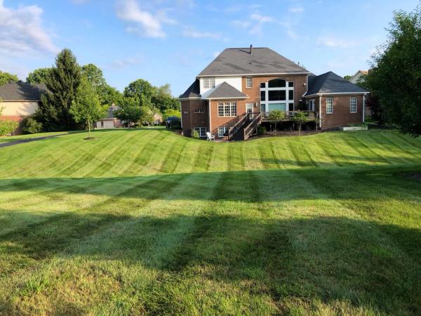 Miller Lawn Maintenance