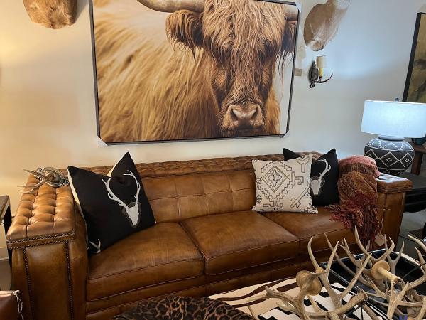 Cohlmia Interiors