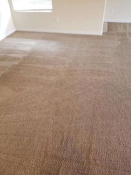 Excellence Janitorial Services & Carpet Cleaning