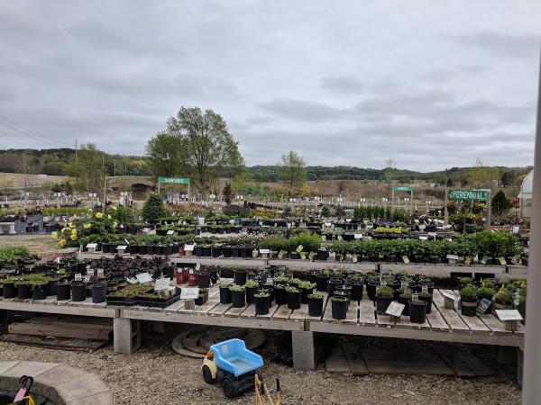 Family Tree Landscape & Nursery