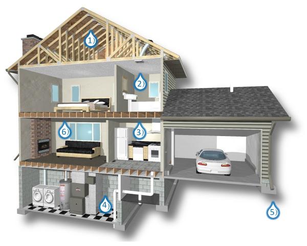 Mold Inspection Man