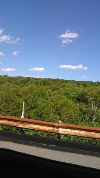 Bear Creek Nursery