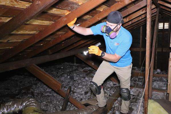 Tanler Termite and Pest Control