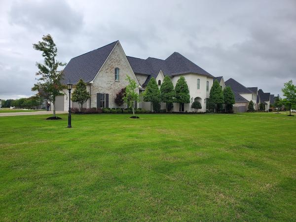 Chivos Lawn and Landscaping