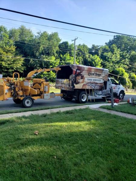 Local Boys Tree Service