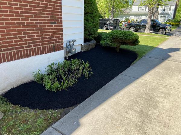 Complete Lawn & Yard Care