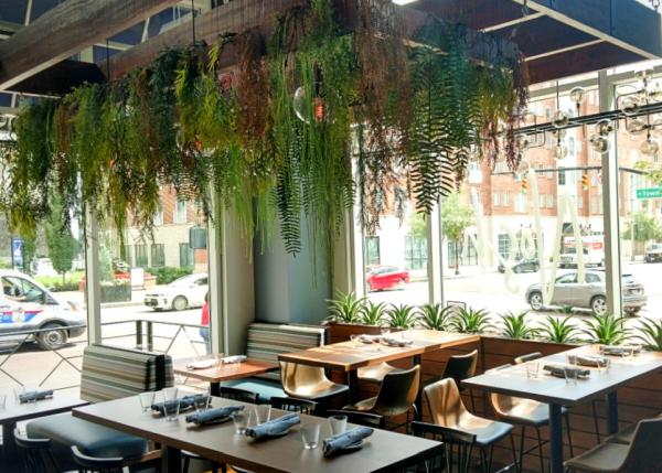 Oakland Green Interiors