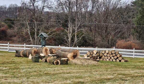 Falkinburg Tree Expert Co.