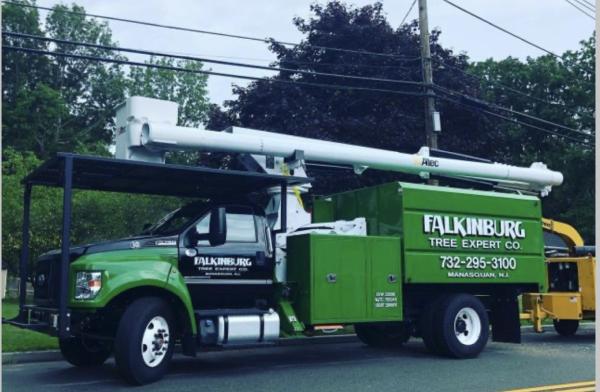 Falkinburg Tree Expert Co.
