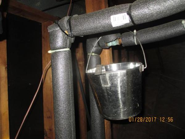 Sweet Home Inspectors