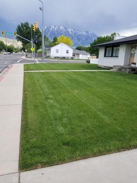 Urban Cuts Lawn Care