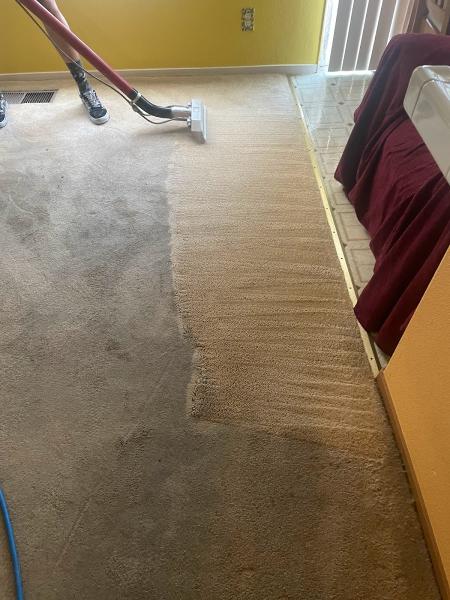 Next Level Carpet Care