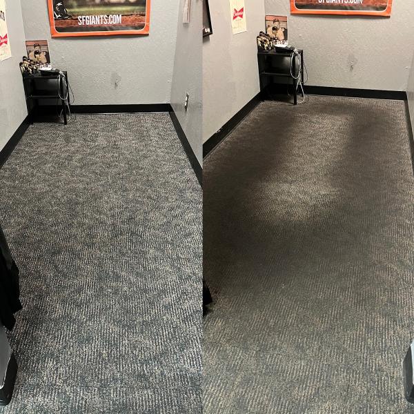 Next Level Carpet Care