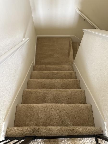 Next Level Carpet Care