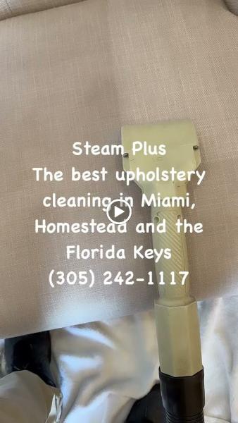Steam Plus Carpet Cleaning