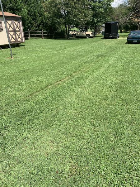 Cut By Vets Lawn Care
