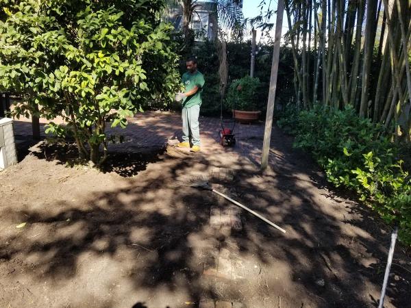 A Budget Tree Service