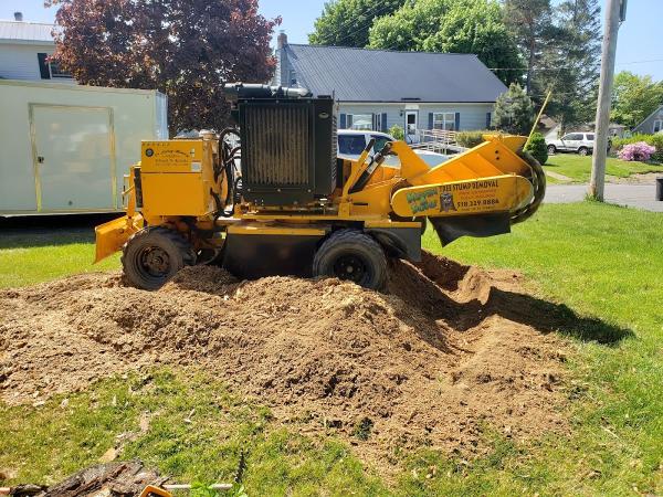 Kevin and Sons' Tree Stump Removal LLC