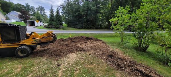 Kevin and Sons' Tree Stump Removal LLC