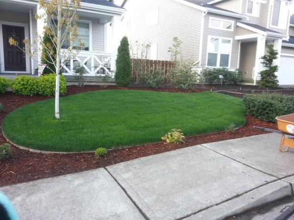 Tran's Landscaping and Gardening
