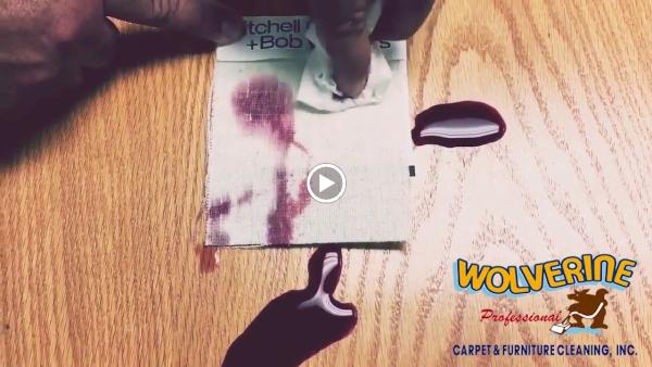 Wolverine Professional Carpet and Furniture Cleaning