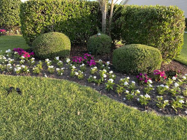 Dimaio Lawn & Landscape Inc