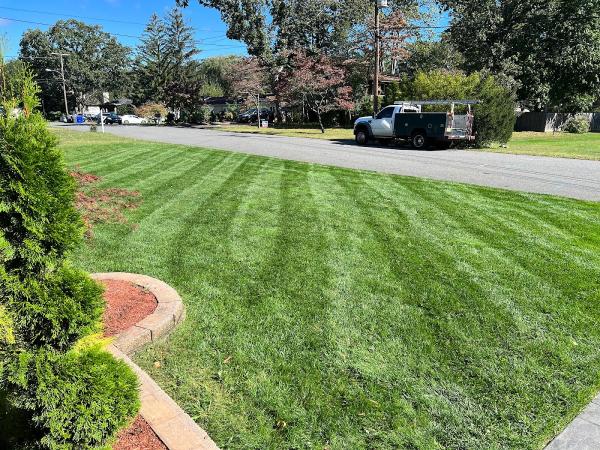 Rich Green Lawns LLC