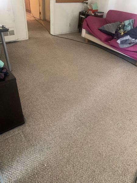 Spotless Rug Cleaners