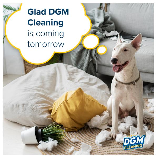 DGM Cleaning Services LLC