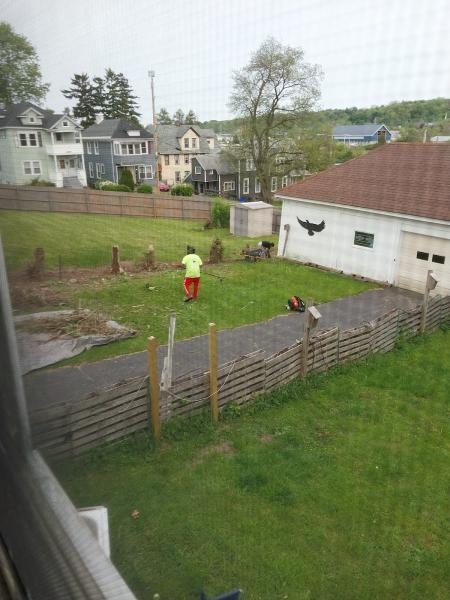 Veteran One Lawn Maintenance LLC