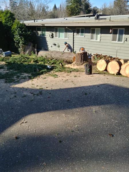 Washington Tree Climbers LLC