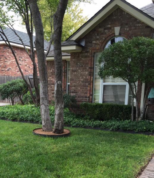 Reed Wackers Lawn Care