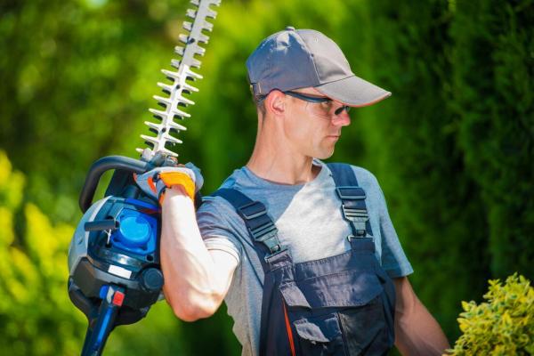 Orem Tree Experts