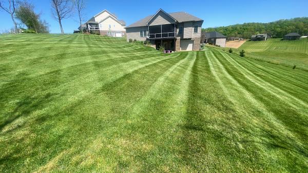 Michael's Mastery Mowing and Landscaping